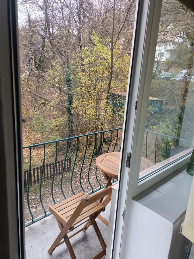 Vintage Gray Apartament 布拉索夫 外观 照片